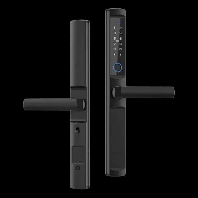 Smart ZigBee Lock Akubela F2