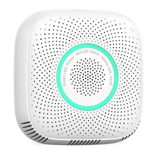 Smart Wi-fi Natural Gas Detector VIV-WS2CG-TY