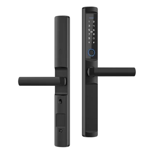 Smart ZigBee Lock Akubela F2