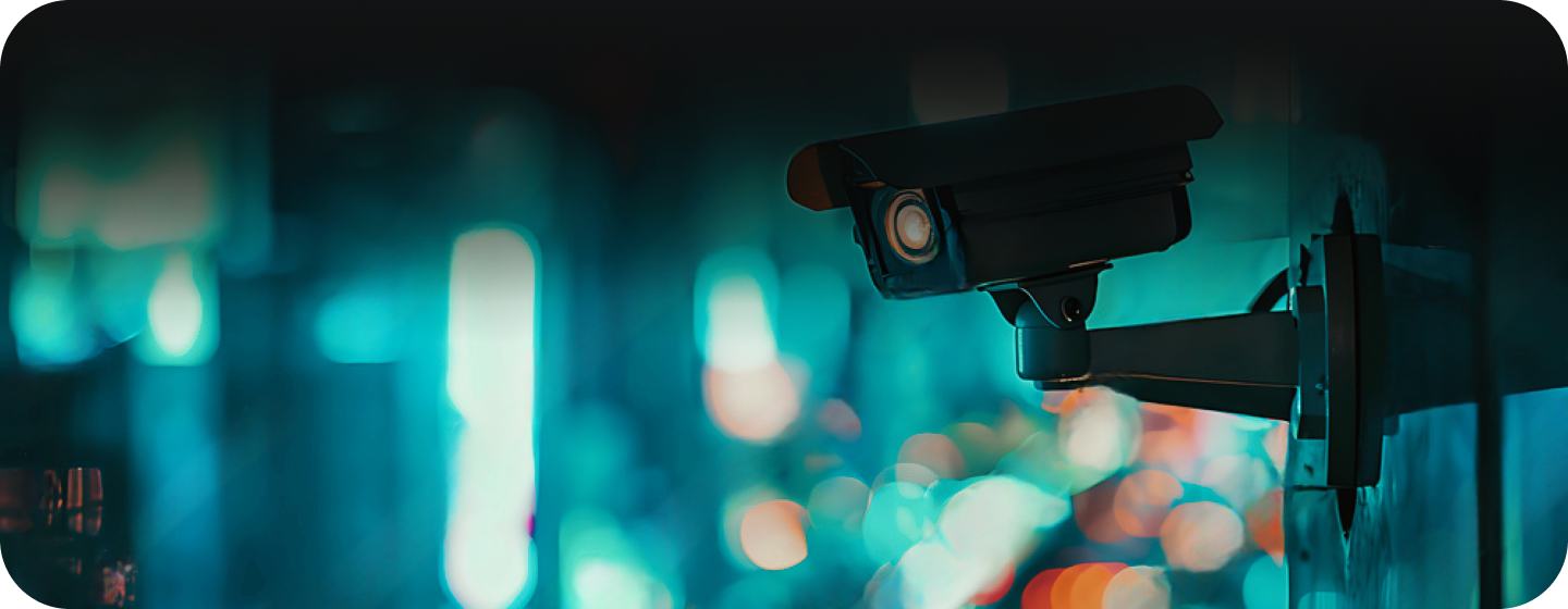 Video Surveillance System